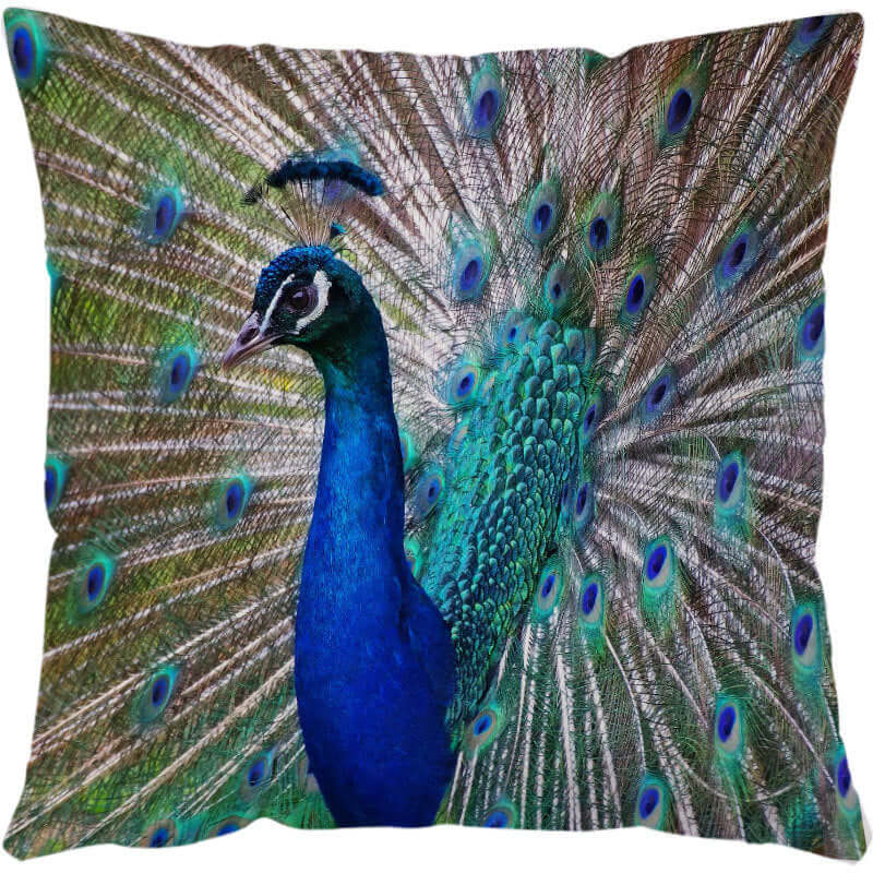Add a Touch of Coastal Charm with Sea Turtle Printed Cushion Covers - Homelune LTD home essentials and decor!