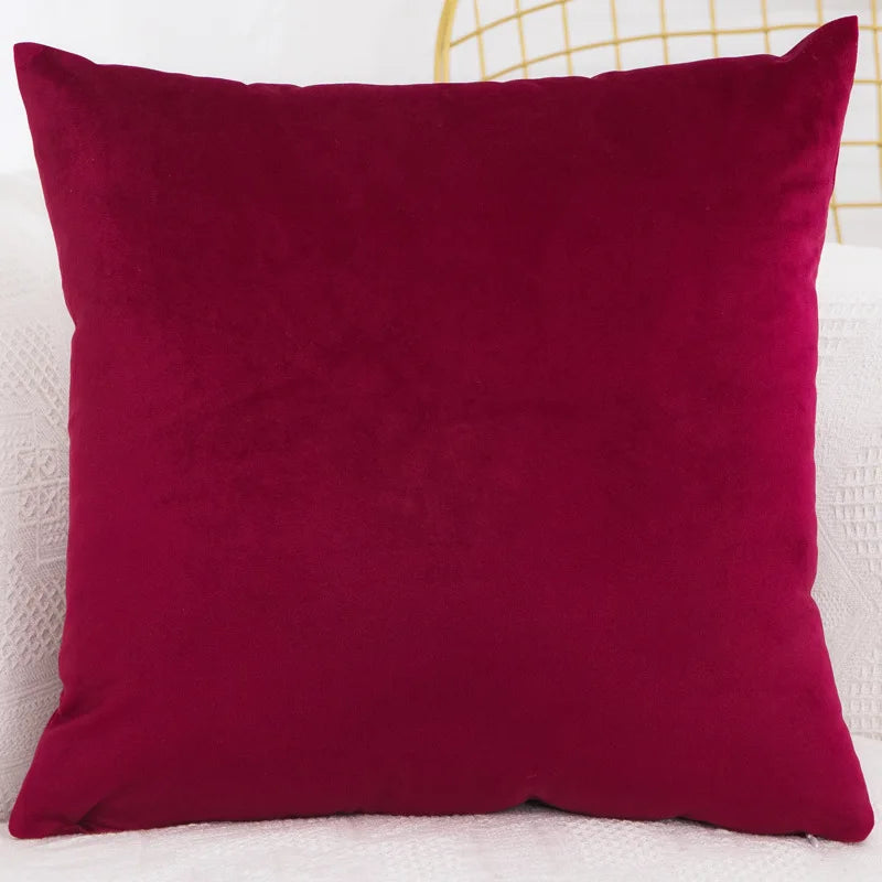 Decorative Throw Pillow Cover for Sofa or Bedroom Homelune LTD