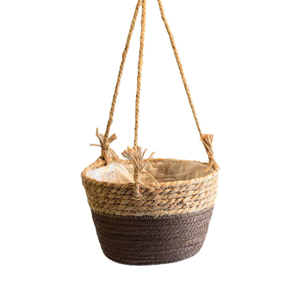 Hanging Orchid Pot Hanging Wall-mounted - Homelune LTD home essentials and decor!
