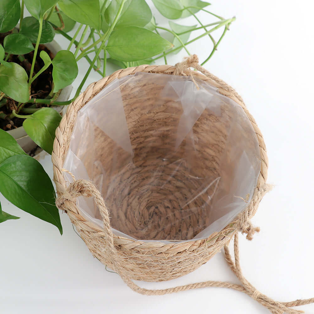 Hanging Orchid Pot Hanging Wall-mounted - Homelune LTD home essentials and decor!