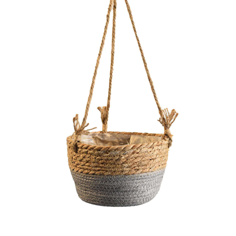 Hanging Orchid Pot Hanging Wall-mounted - Homelune LTD home essentials and decor!