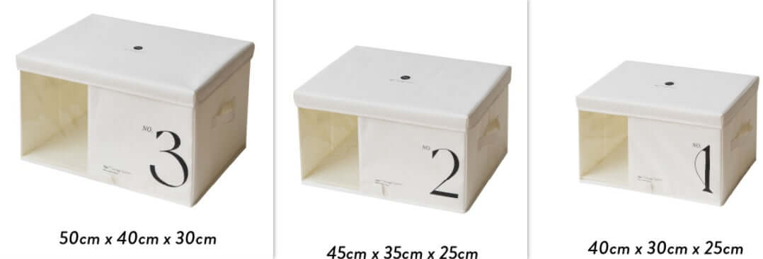 Keep Your Closet Tidy with Our Durable Household Wardrobe Storage Box! - Homelune LTD home essentials and decor!